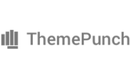 ThemePunch